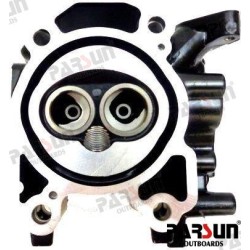 CYLINDER HEAD ASSY