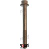TORNILLO