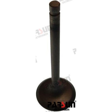 INTAKE VALVE