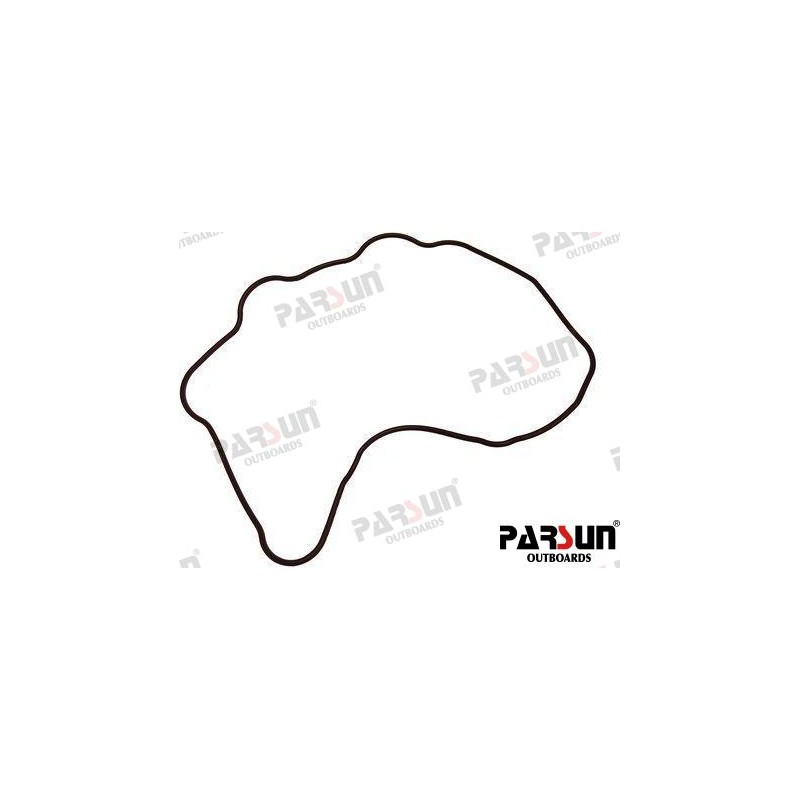 HEAD COVER O-RING