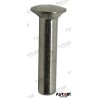 RIVET