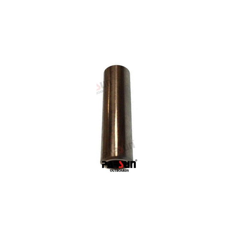 PIN, PISTON