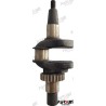 CRANK ASSY