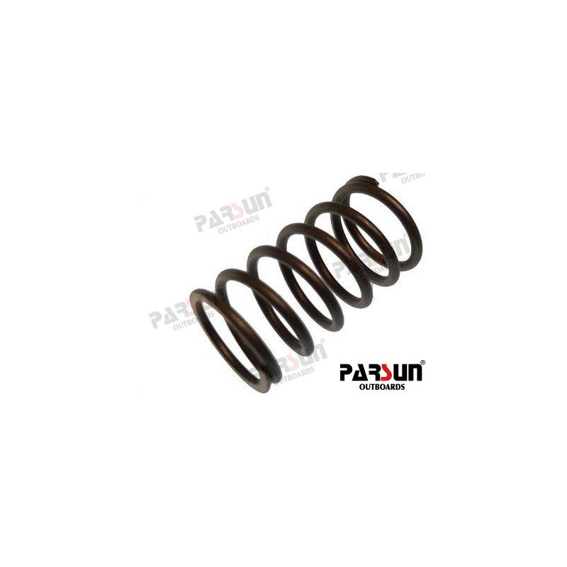 SPRING, VALVE STEM