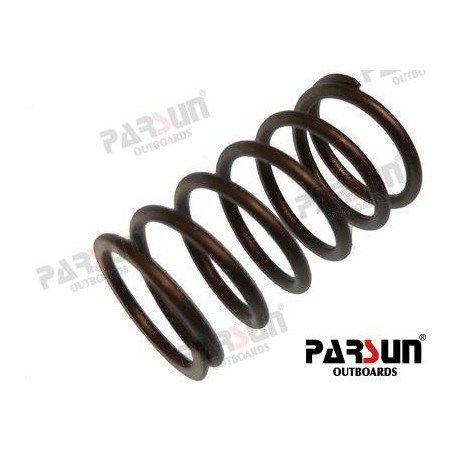 SPRING, VALVE STEM