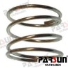 SPRING, DIAPHRAGM