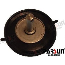 DIAPHRAGM ASSY