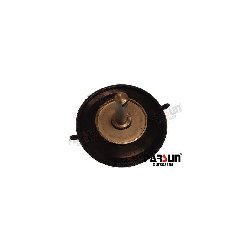 DIAPHRAGM ASSY
