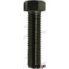 BOLT M10X1.25X40