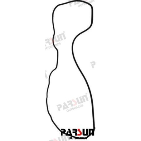 SEAL, CYLINDER HEAD