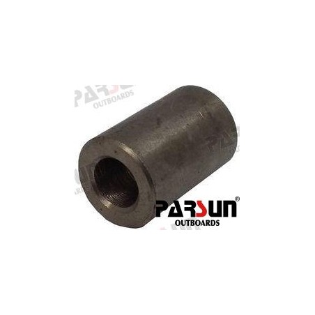 BUCHSE, COMMON-RAIL