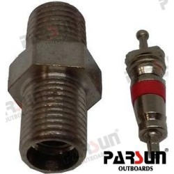 ERKENNUNGSVENTIL, KRAFTSTOFFPUMPE