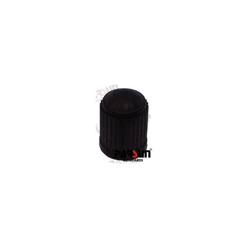 CAP, DETECTION VALVE