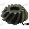 PINION