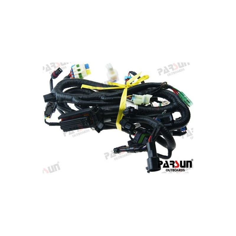 WIRING HARNESS, ECU CONTROL DELFI