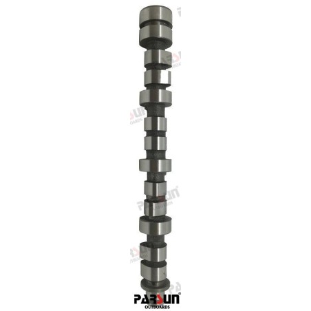 CAM SHAFT ASSY