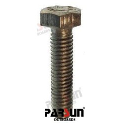 BOLT M6X25
