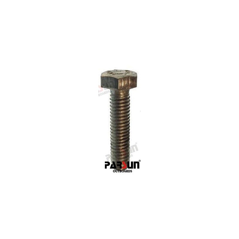 BOLT M6X25