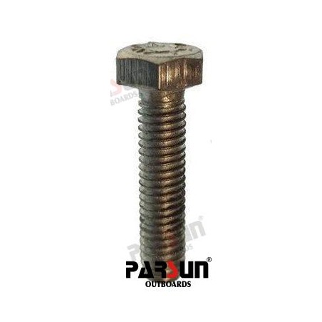 BOLT M6X25