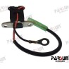 COIL PULSER