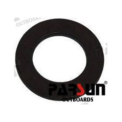 BUSHER ROCKER SPRING