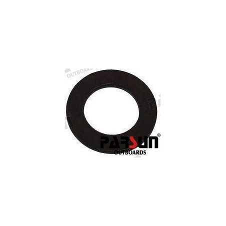 BUSHER ROCKER SPRING