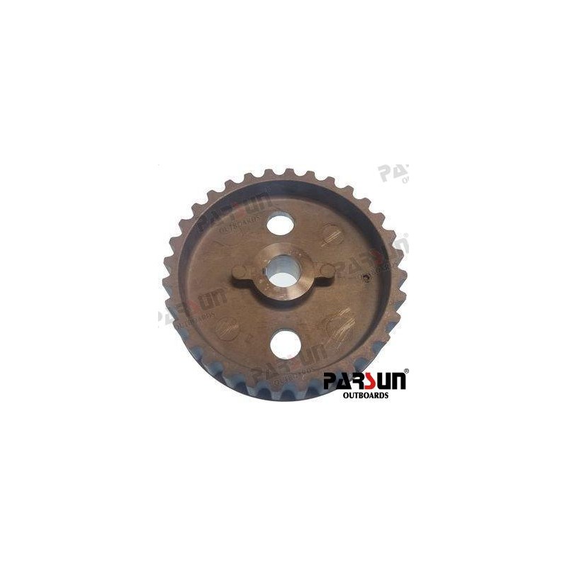 DRIVER PULLEY