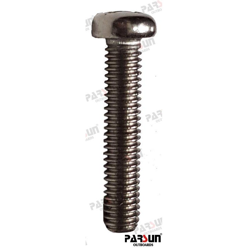 SCREW,PAN HEAD M6X30