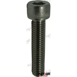 SCREW M10X1.5X45