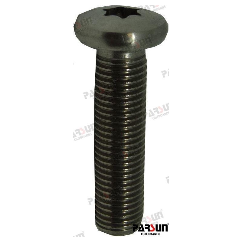 SCREW M10X1.25X40