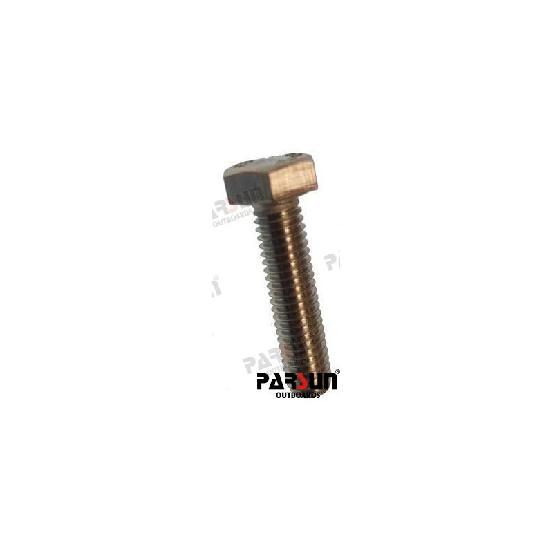 BOLT M6X25