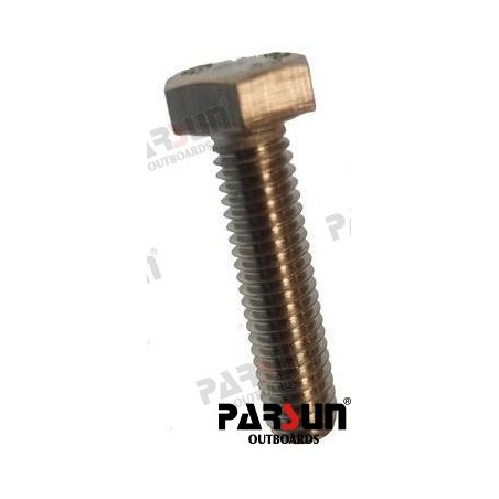 BOLT M6X25