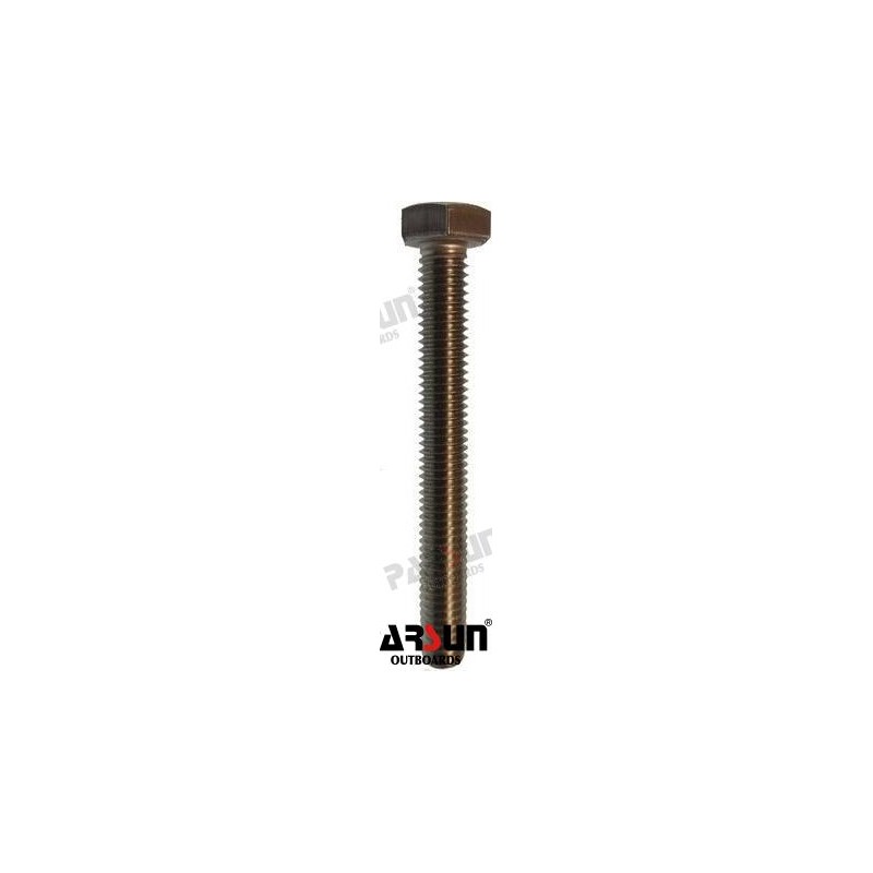 BOLT M6X50