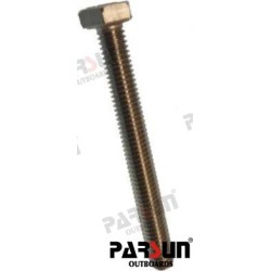 BOLT M6X55