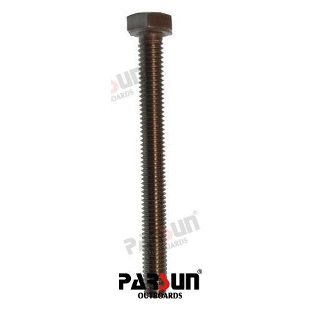 BOLZENTM6X60