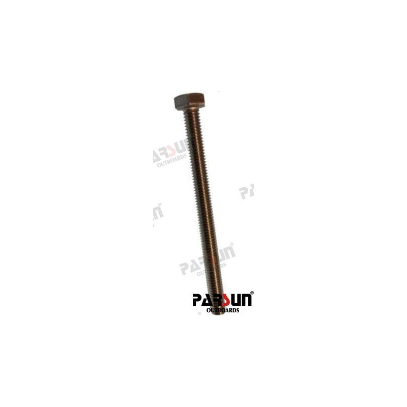 BOLT M6X75