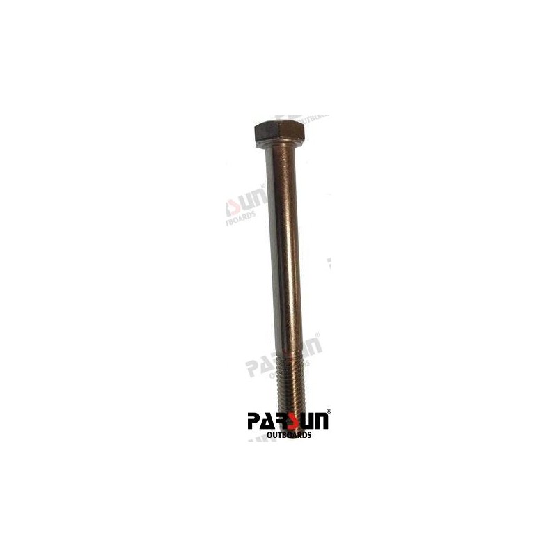 BOLT M8X80