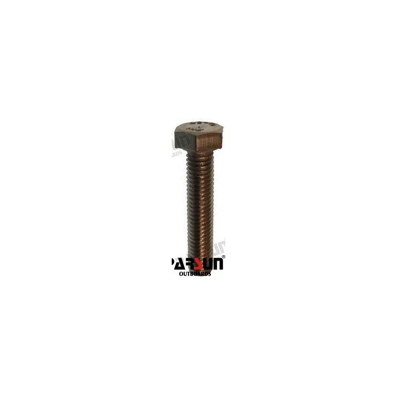 BOLZEN M5X25
