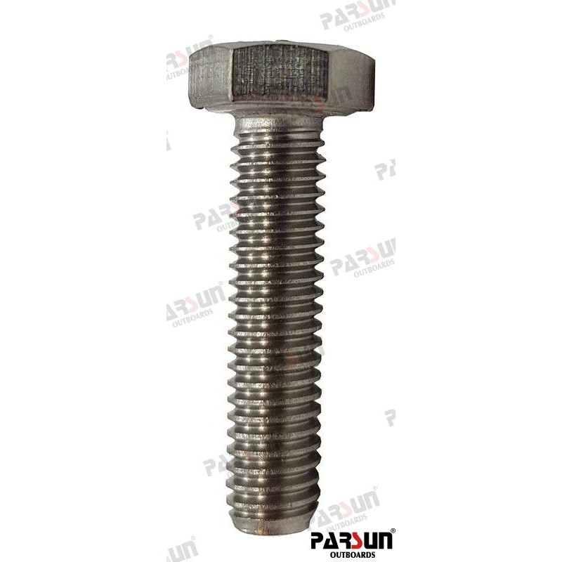 BOLT HEXAGON M6X25