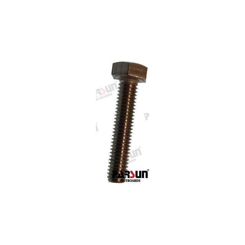 BOLT HEXAGON M6X30