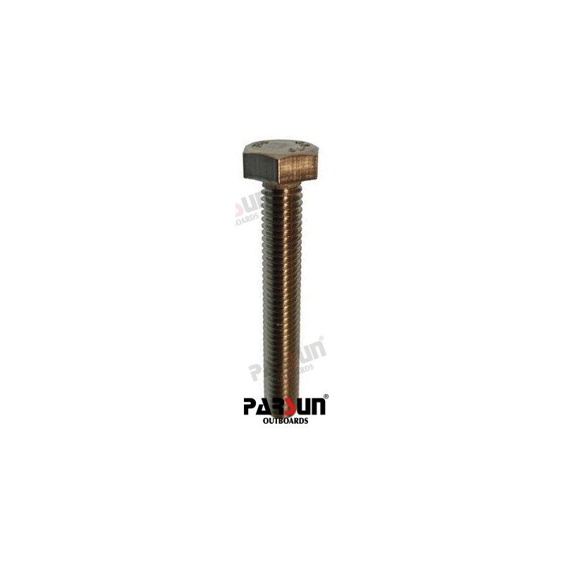 BOLT M6X40