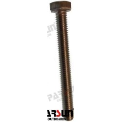 BOLT M6X55
