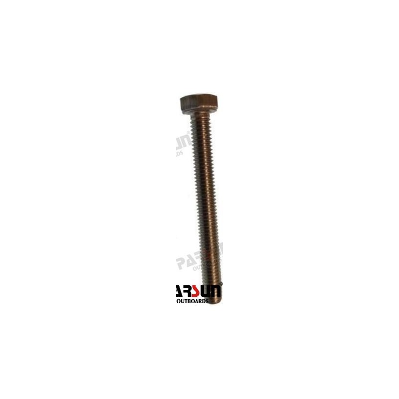 BOLT M6X55