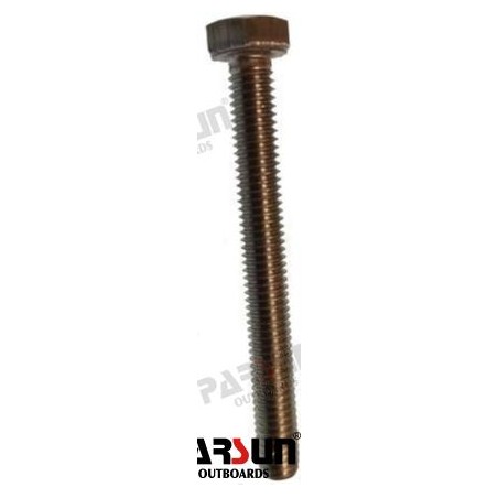 BOLT M6X55