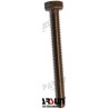 BOLT M6X55