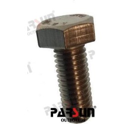 BOLT M8X20