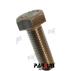 BOLT M8X25