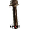 BOLT M6X30