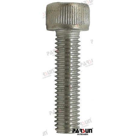 SCREW M5X20 (BLACK)