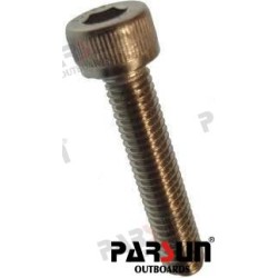 BOLT M5X25